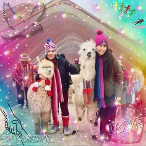 Meet your Posher, Mary